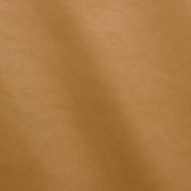 Aligo Group фото