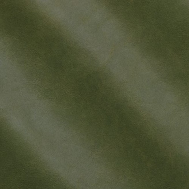 Aligo Group фото