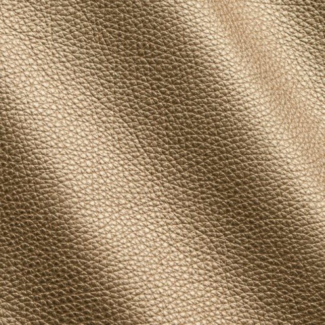 Aligo Group фото