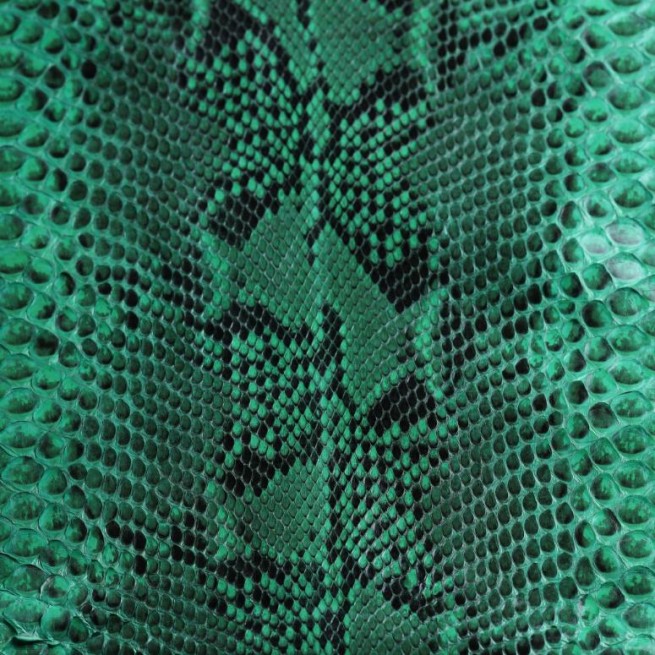 Aligo Group фото