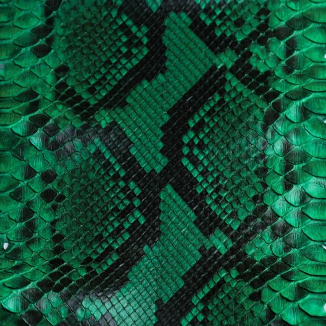 Aligo Group фото