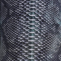 Питон натуральный №14 CURTUS серый с зеленым перла