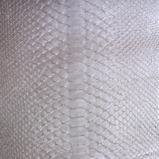 Aligo Group фото