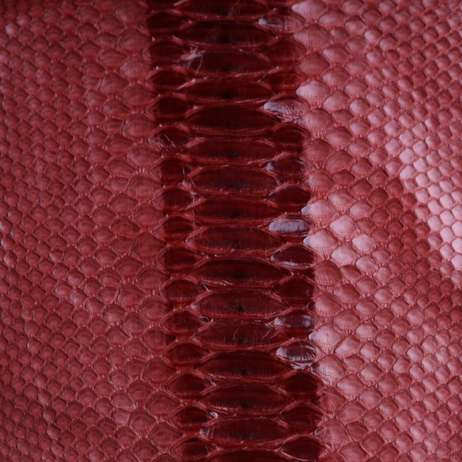 Aligo Group фото