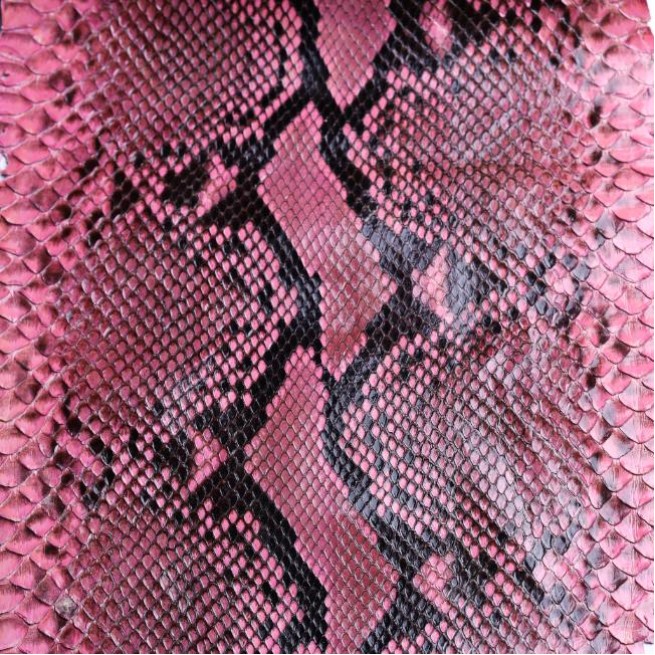 Aligo Group фото