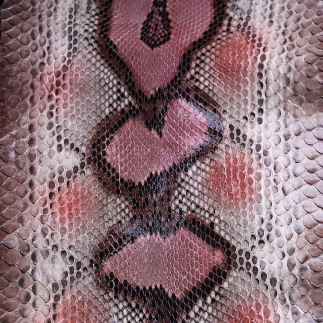 Aligo Group фото