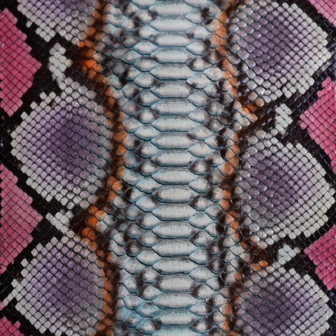 Aligo Group фото