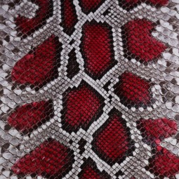 Питон натуральный №17 белый с бордо