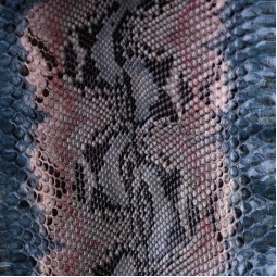 Питон натуральный №1 серо-голубой глянец