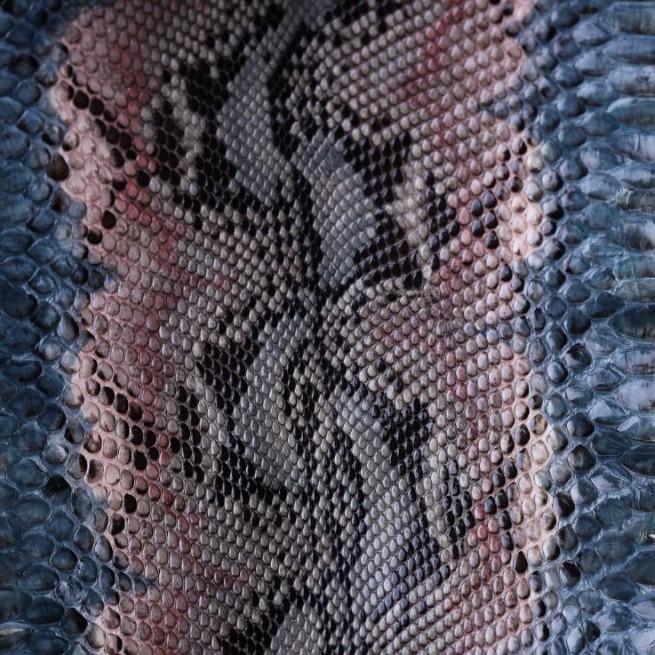 Aligo Group фото