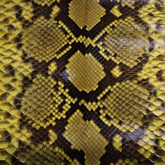 Aligo Group фото