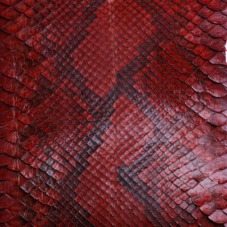 Питон натуральный №12 коньяк