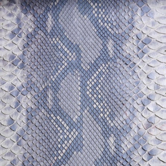 Aligo Group фото