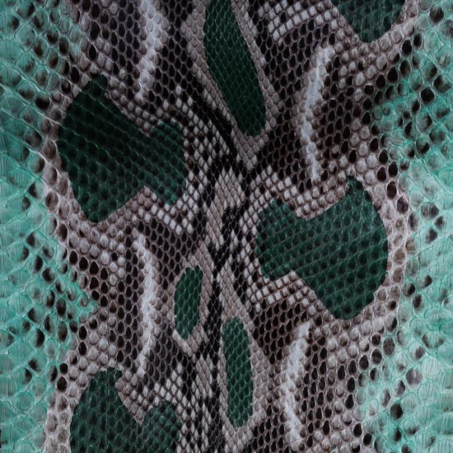 Aligo Group фото