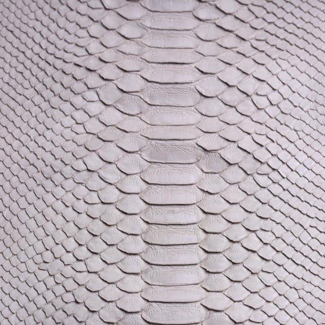 Aligo Group фото