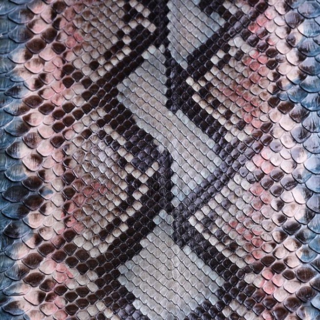 Aligo Group фото