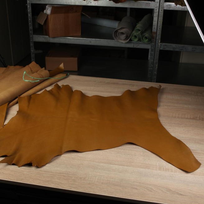 Aligo Group фото