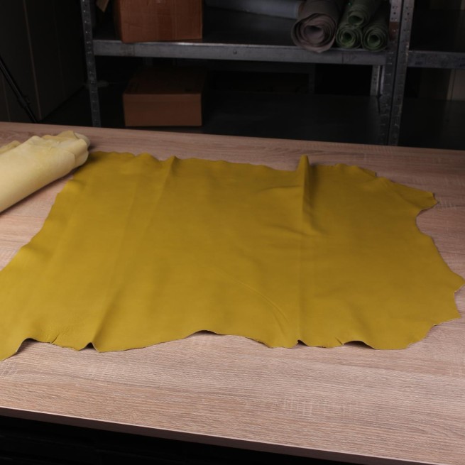 Aligo Group фото