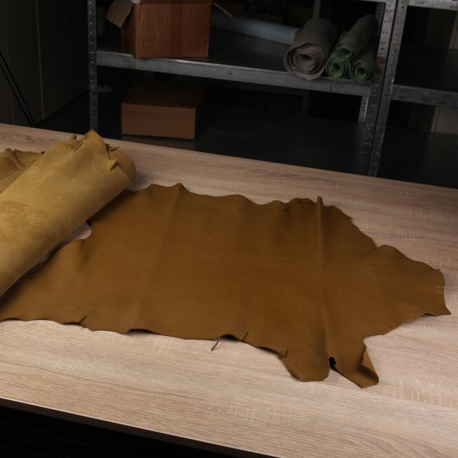 Aligo Group фото