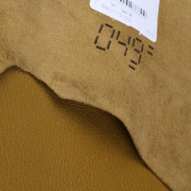 Aligo Group фото