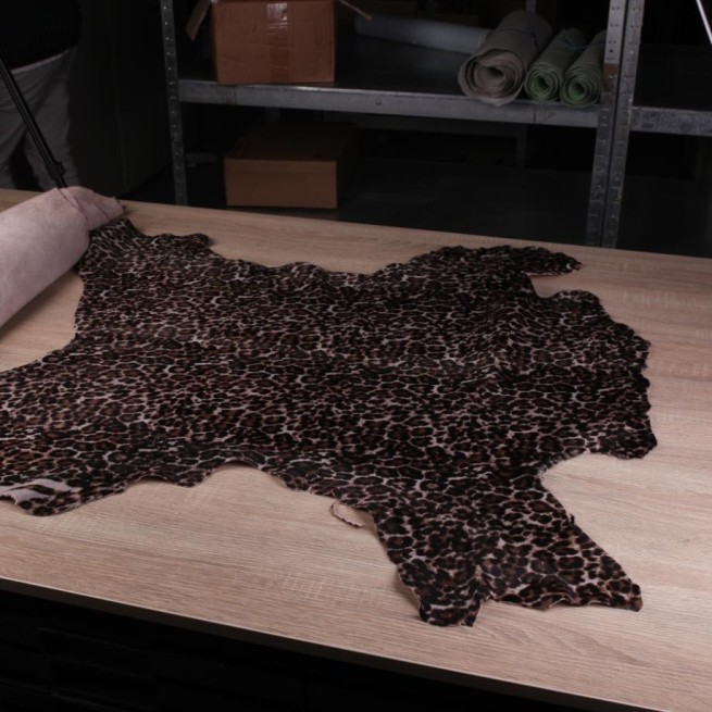 Aligo Group фото