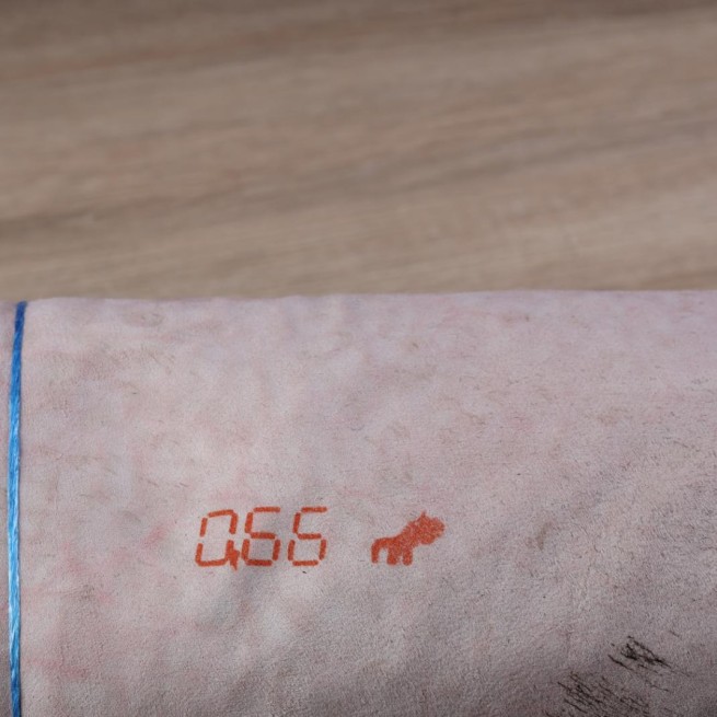 Aligo Group фото