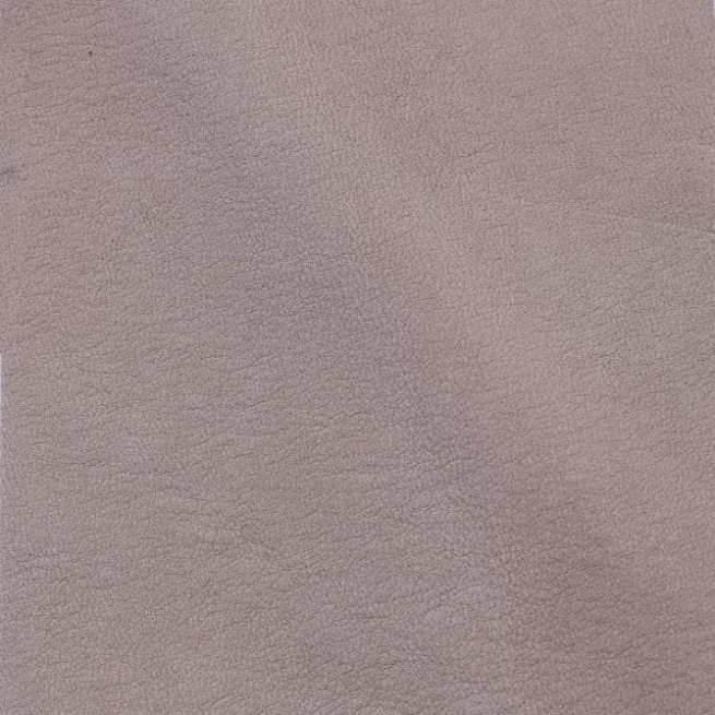 Aligo Group фото