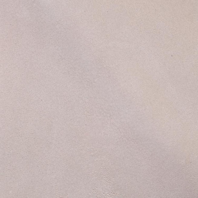 Aligo Group фото