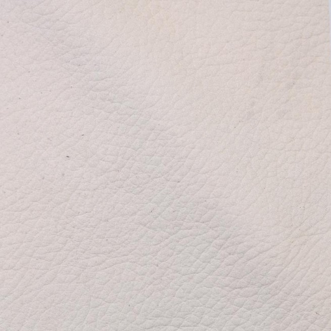 Aligo Group фото