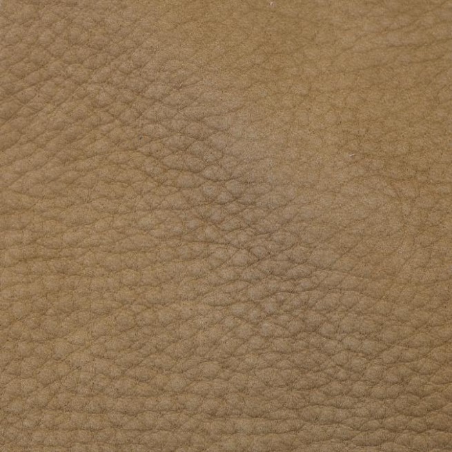 Aligo Group фото