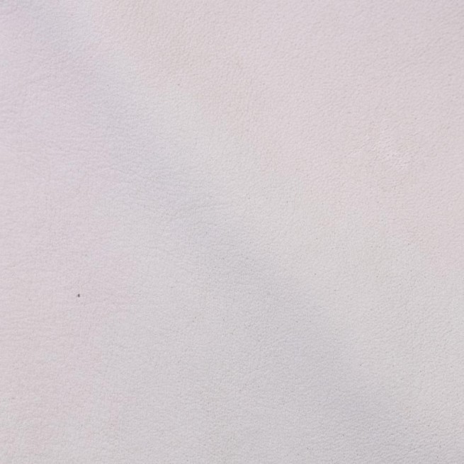 Aligo Group фото