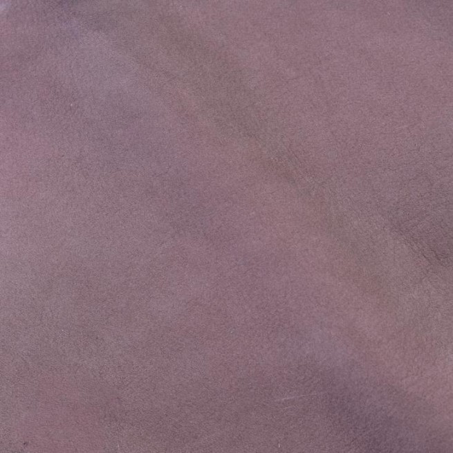 Aligo Group фото