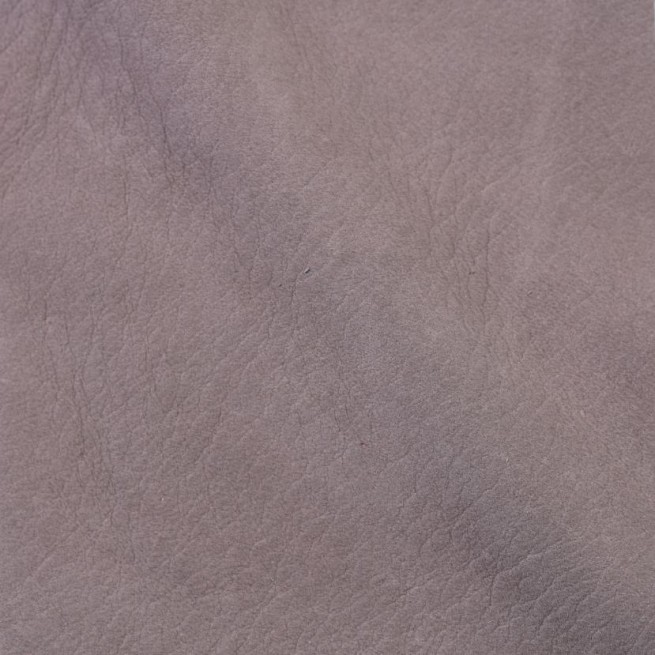 Aligo Group фото