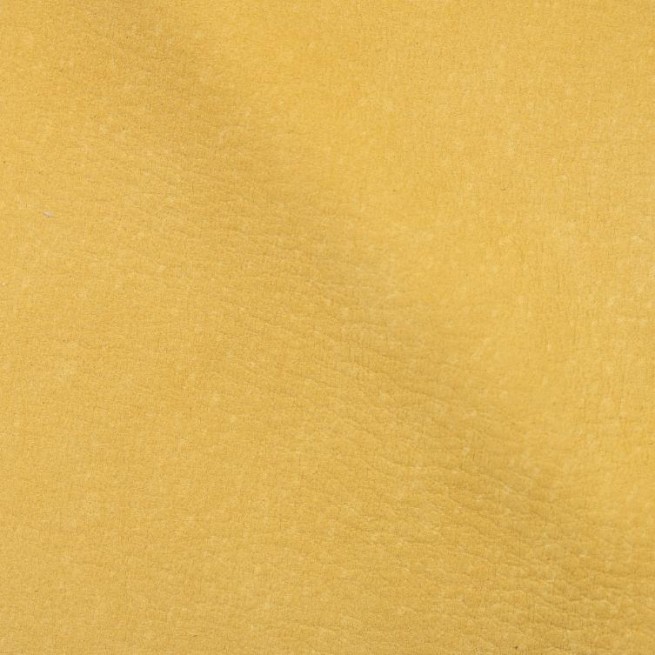 Aligo Group фото