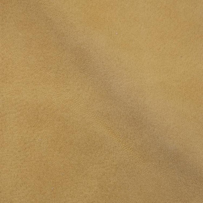 Aligo Group фото