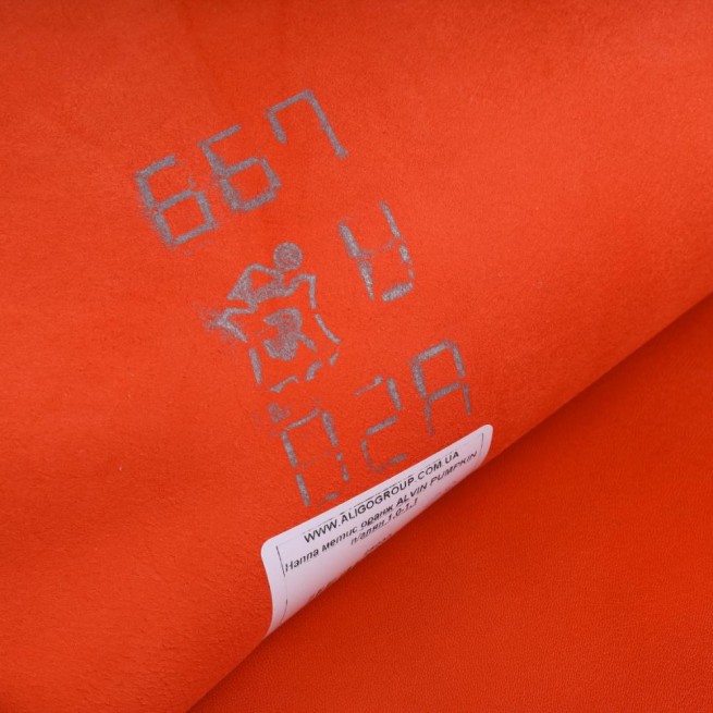 Aligo Group фото