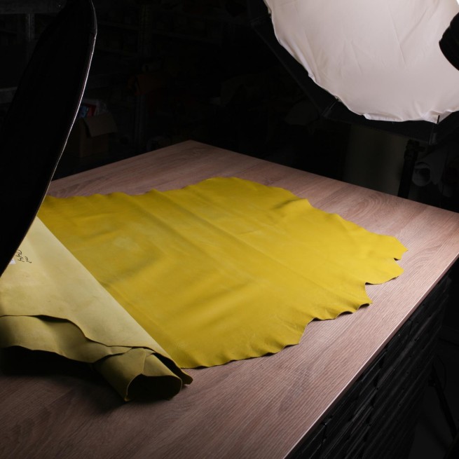 Aligo Group фото