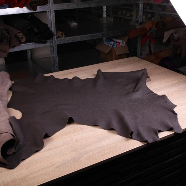 Aligo Group фото