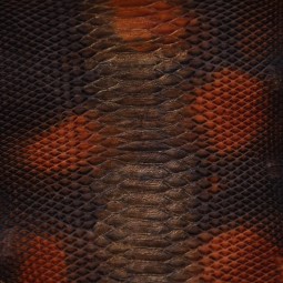 Питон натуральный т.коричневый с бронзой