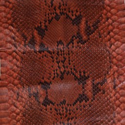 Питон натуральный коричневый