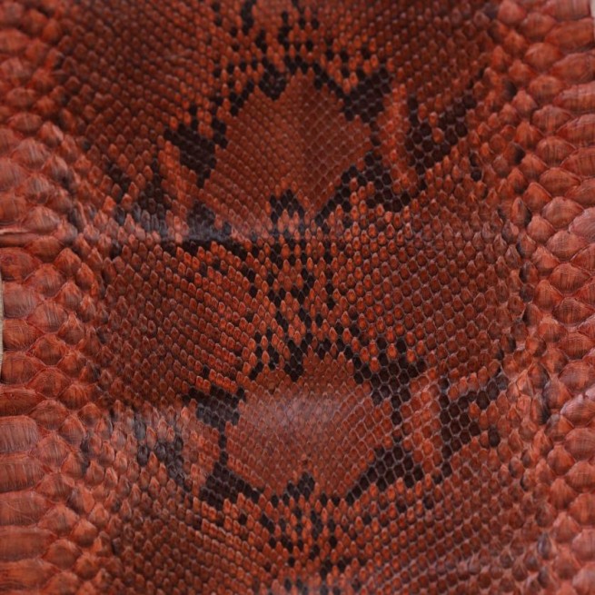 Aligo Group фото