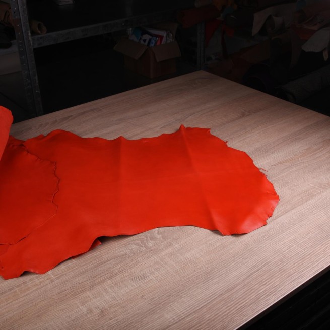 Aligo Group фото