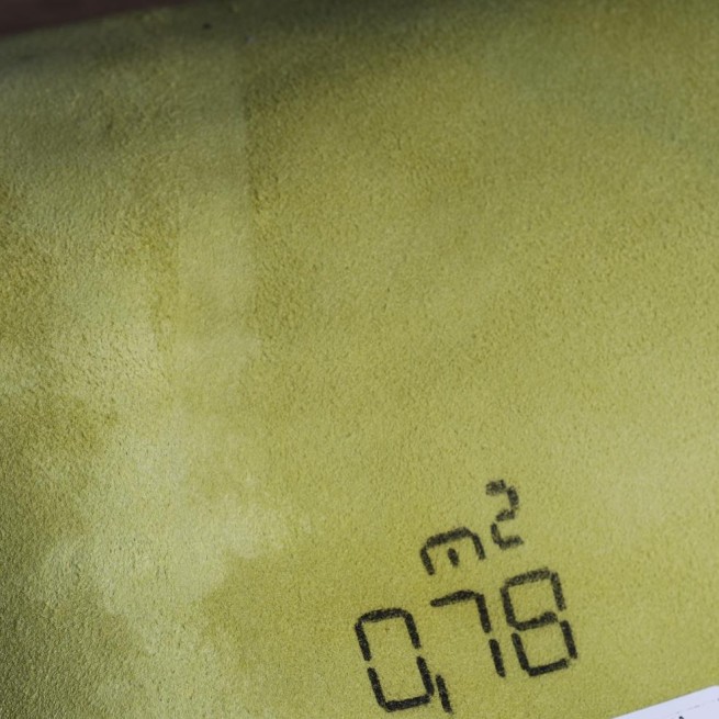 Aligo Group фото