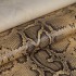 Шкіра ВРХ жовтий PRINT STAMP PYTHON 1,1 мм