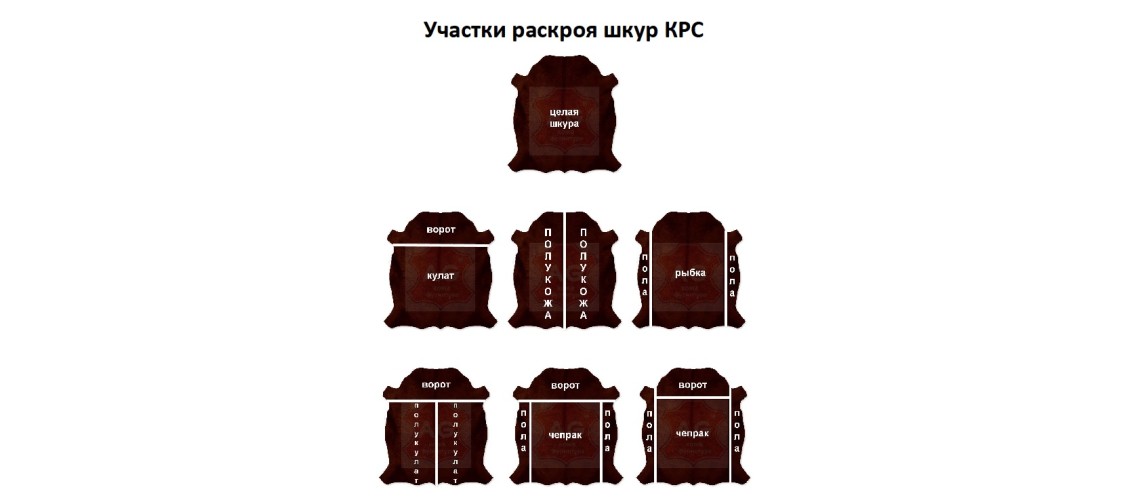 Способи розкрою шкір ВРХ Способи розкрою шкір ВРХ